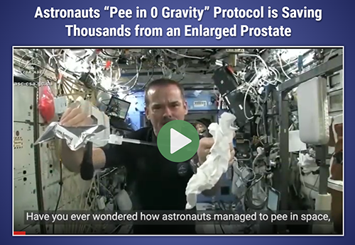 Prostadine Prostate care natural supplement