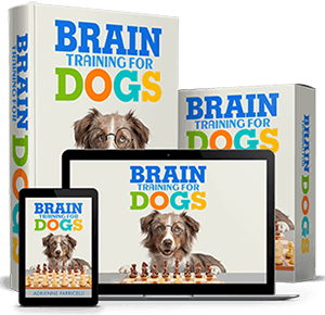 Brain Training for Dogs: Unlock Your Dog’s Full Potential